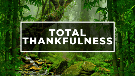 10-Minute Guided Meditation in a Peaceful Forest Setting - Total Thankfulness: