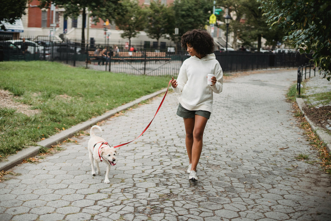 Is Walking Really Enough for Weight Loss? I’d Argue Yes — And Here’s Why